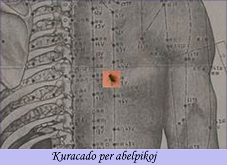 kuracado per abelpikoj